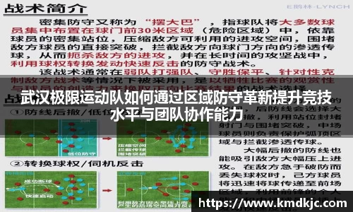 武汉极限运动队如何通过区域防守革新提升竞技水平与团队协作能力