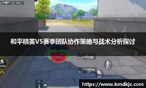 和平精英V5赛季团队协作策略与战术分析探讨