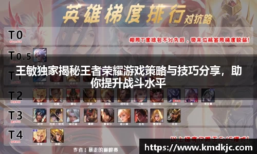 王敏独家揭秘王者荣耀游戏策略与技巧分享，助你提升战斗水平