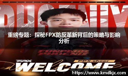 重磅专题：探秘FPX防反革新背后的策略与影响分析