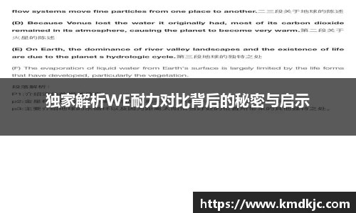 独家解析WE耐力对比背后的秘密与启示