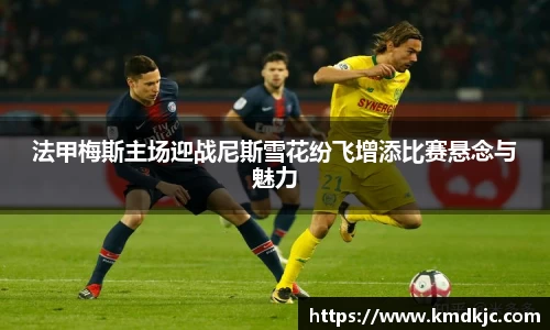 法甲梅斯主场迎战尼斯雪花纷飞增添比赛悬念与魅力